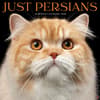 image Persians Horses 2025 Wall Calendar  Main Image