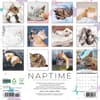 image Naptime Cats 2025 Wall Calendar First Alternate Image width=&quot;1000&quot; height=&quot;1000&quot;