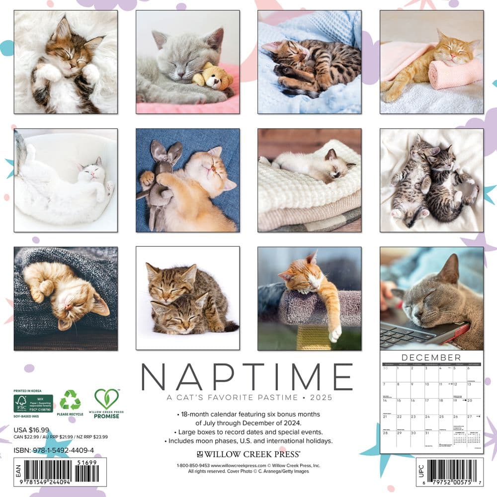 Naptime Cats 2025 Wall Calendar First Alternate Image width=&quot;1000&quot; height=&quot;1000&quot;