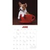 image Pups in Cups 2025 Wall Calendar Second Alternate Image width=&quot;1000&quot; height=&quot;1000&quot;