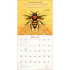 image Be Here Now 2025 Wall Calendar First Alternate Image width=&quot;1000&quot; height=&quot;1000&quot;