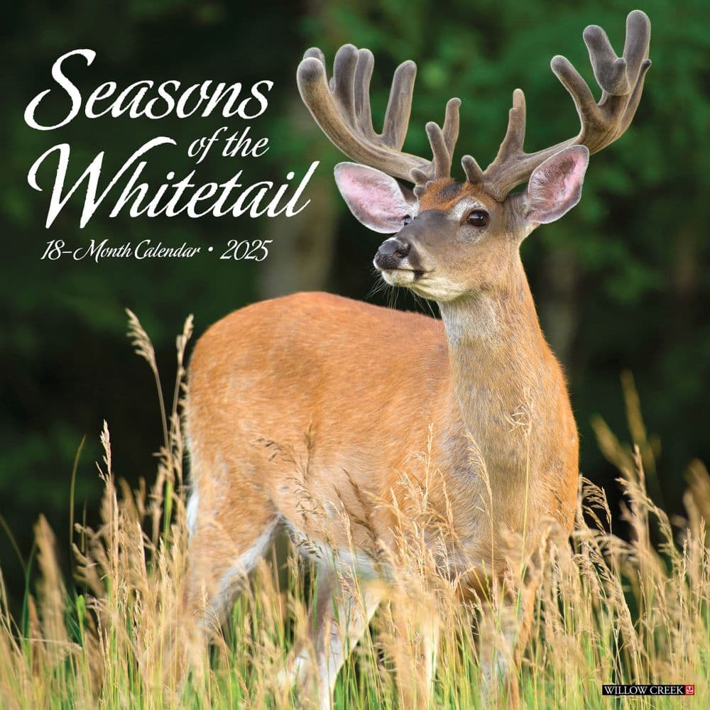 Deer Whitetail Seasons 2025 Wall Calendar Main Image