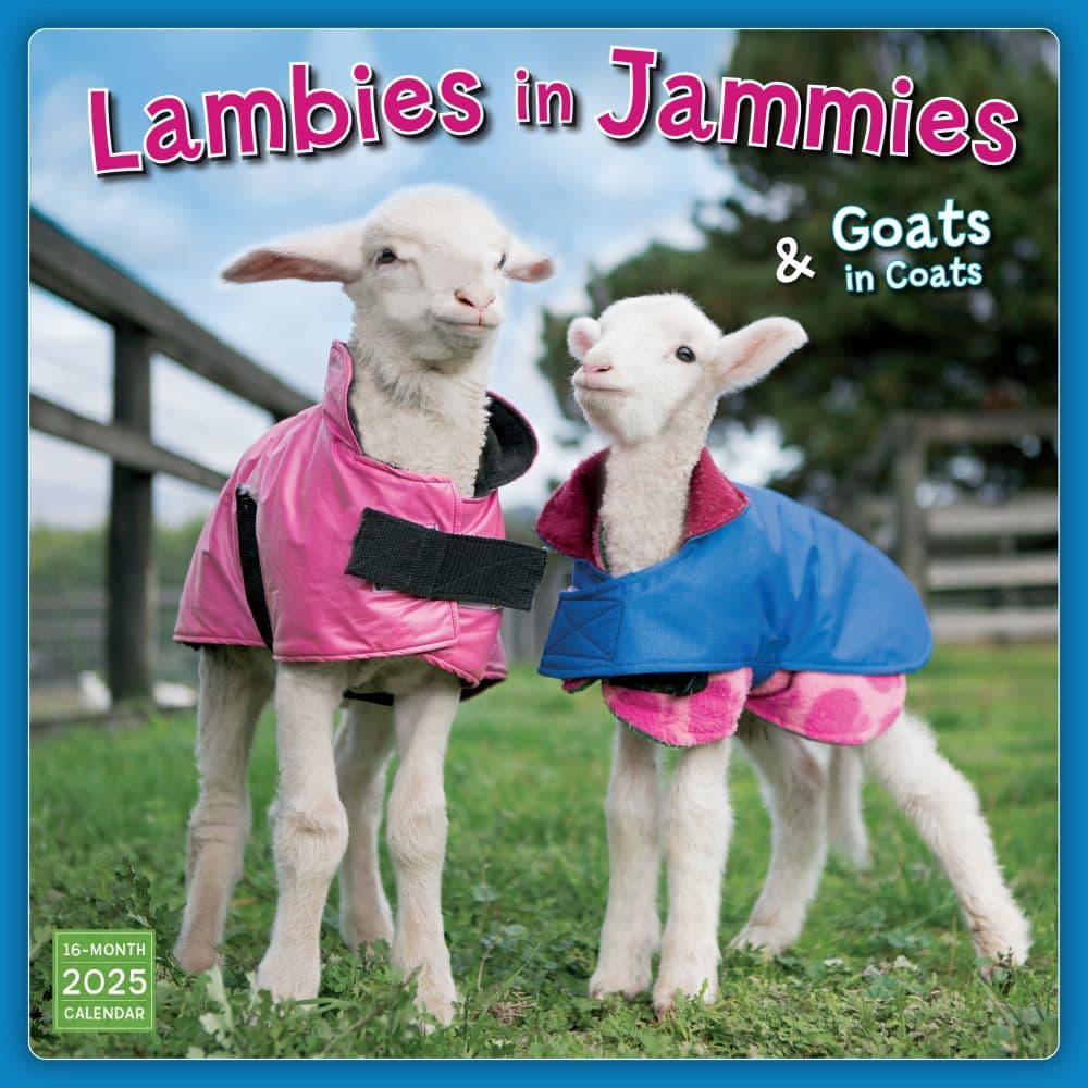Lambies in Jammies 2025 Wall Calendar Main Product Image width=&quot;1000&quot; height=&quot;1000&quot;