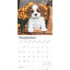 image Cavalier King Charles Puppies 2025 Wall Calendar Second Alternate Image width=&quot;1000&quot; height=&quot;1000&quot;