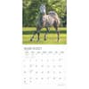 image Magnificent Horses Plato 2025 Wall Calendar