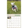 image Lambies in Jammies 2025 Wall Calendar Third Alternate Image width=&quot;1000&quot; height=&quot;1000&quot;