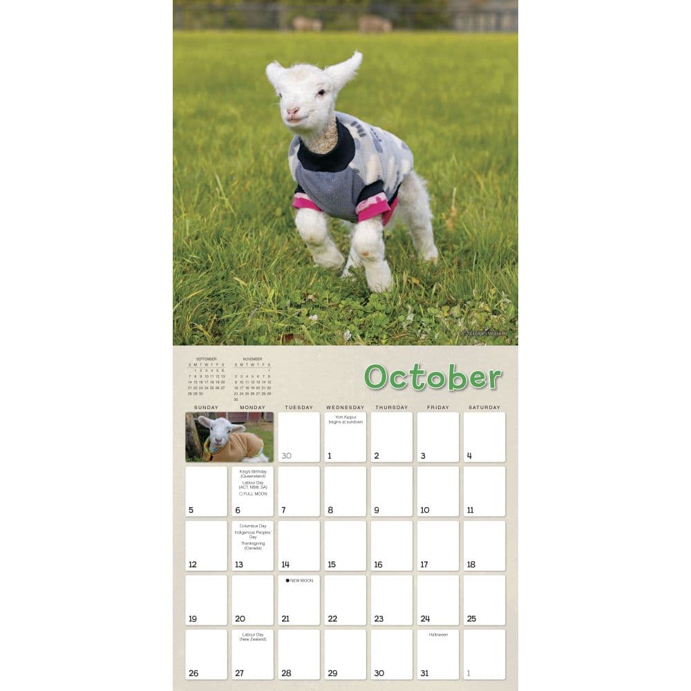 Lambies in Jammies 2025 Wall Calendar Third Alternate Image width=&quot;1000&quot; height=&quot;1000&quot;
