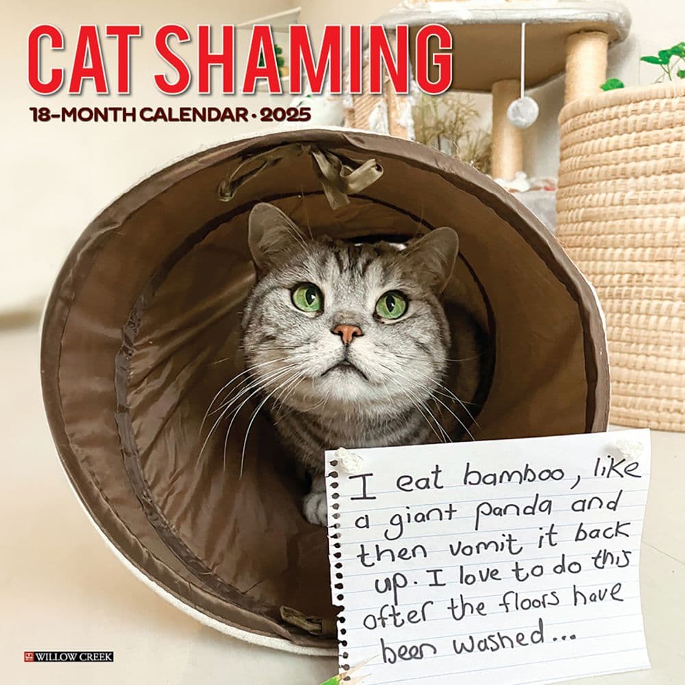 Cat Shaming 2025 Wall Calendar Main Image