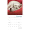 image Pooped Puppies 2025 Mini Wall Calendar Third Alternate Image width=&quot;1000&quot; height=&quot;1000&quot;