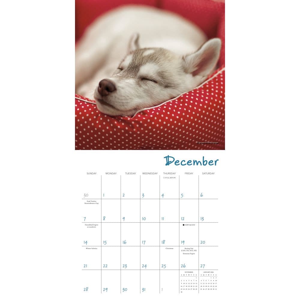 Pooped Puppies 2025 Mini Wall Calendar Third Alternate Image width=&quot;1000&quot; height=&quot;1000&quot;