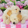 image Pooped Puppies 2025 Wall Calendar Main Product Image width=&quot;1000&quot; height=&quot;1000&quot;