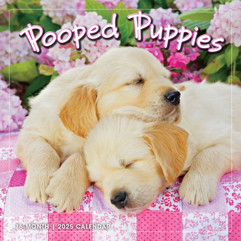 Pooped Puppies 2025 Wall Calendar Main Product Image width=&quot;1000&quot; height=&quot;1000&quot;