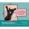 image Cats Are Cheaper Than Therapy 2025 Desk Calendar Second Alternate Image width=&quot;1000&quot; height=&quot;1000&quot;