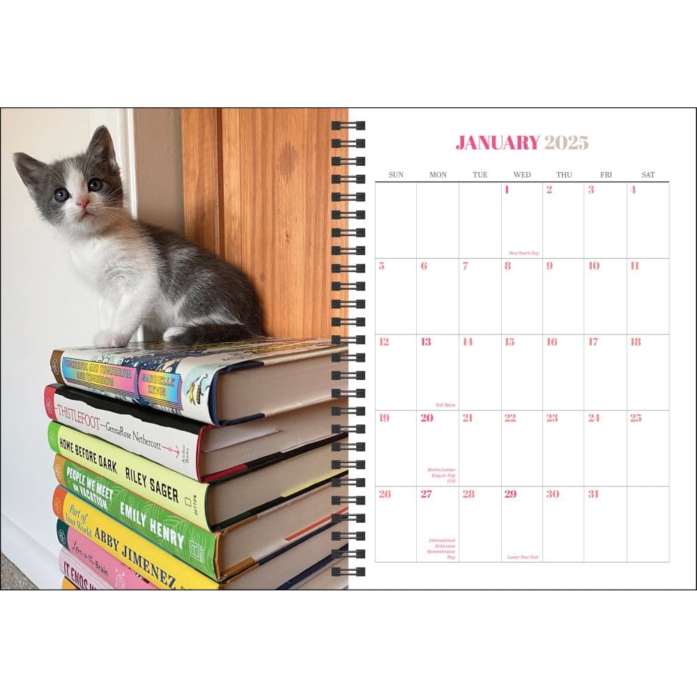 Cats and Books 2025 Weekly Planner Second Alternate Image width=&quot;1000&quot; height=&quot;1000&quot;