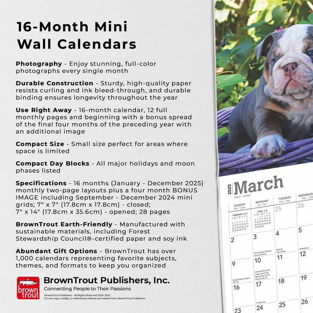 Bulldog Puppies 2025 Mini Wall Calendar Fifth Alternate Image width=&quot;1000&quot; height=&quot;1000&quot;