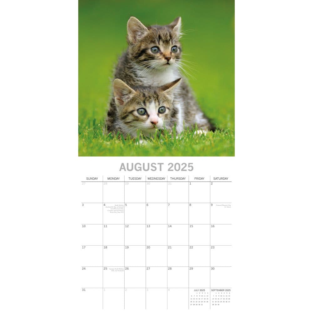 Cats and Kittens 2025 Wall Calendar Third Alternate Image width=&quot;1000&quot; height=&quot;1000&quot;