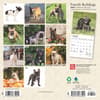 image French Bulldogs 2025 Mini Wall Calendar First Alternate Image width=&quot;1000&quot; height=&quot;1000&quot;