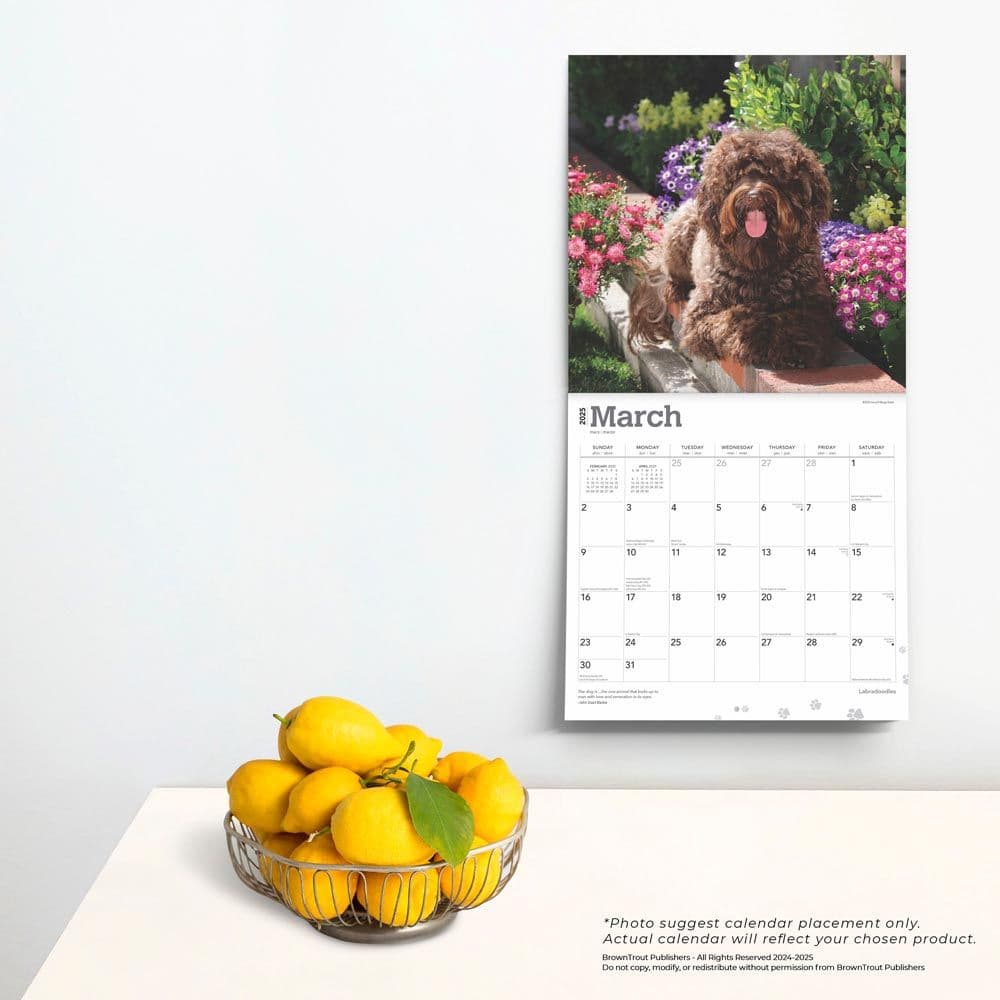 Labradoodles 2025 Wall Calendar Fourth  Alternate Image width=&quot;1000&quot; height=&quot;1000&quot;