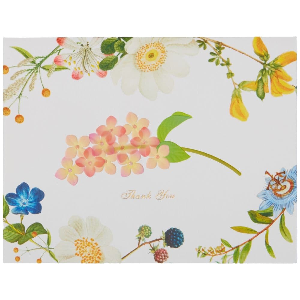 Vellum Hydrangea / Botanical Border Thank You Card First Alternate Image width=&quot;1000&quot; height=&quot;1000&quot;