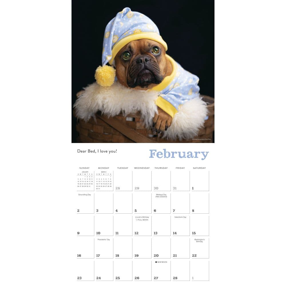 Pajama Pups 2025 Wall Calendar Second Alternate Image width=&quot;1000&quot; height=&quot;1000&quot;
