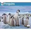 image Penguins WWF 2025 Wall Calendar Main Image