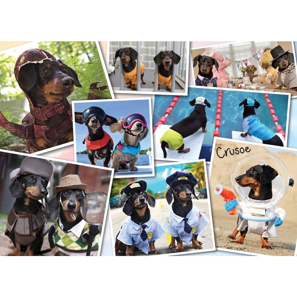 Crusoes Greatest Hits 1000 Piece Puzzle First Alternate  Image width=&quot;1000&quot; height=&quot;1000&quot;