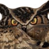 image Owl Die Cut Halloween Card Fifth Alternate Image width=&quot;1000&quot; height=&quot;1000&quot;