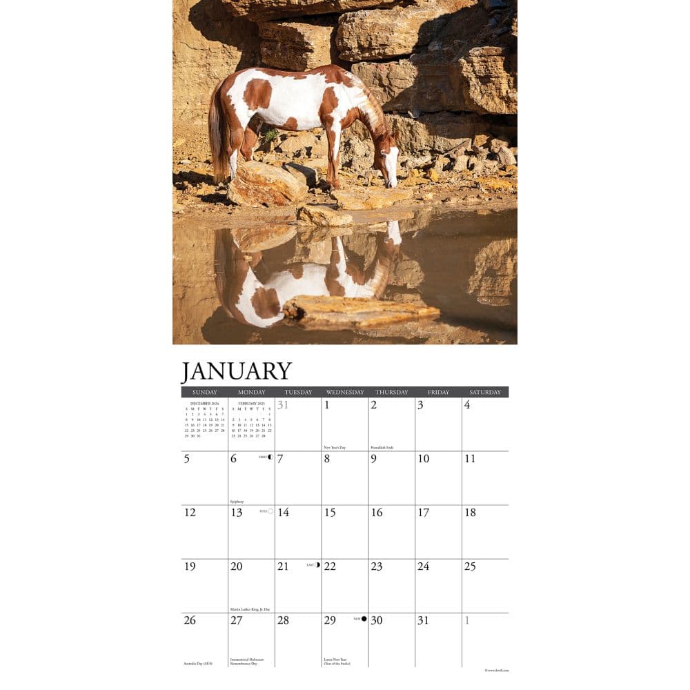 Horses Paint 2025 Wall Calendar Second Alternate Image width=&quot;1000&quot; height=&quot;1000&quot;