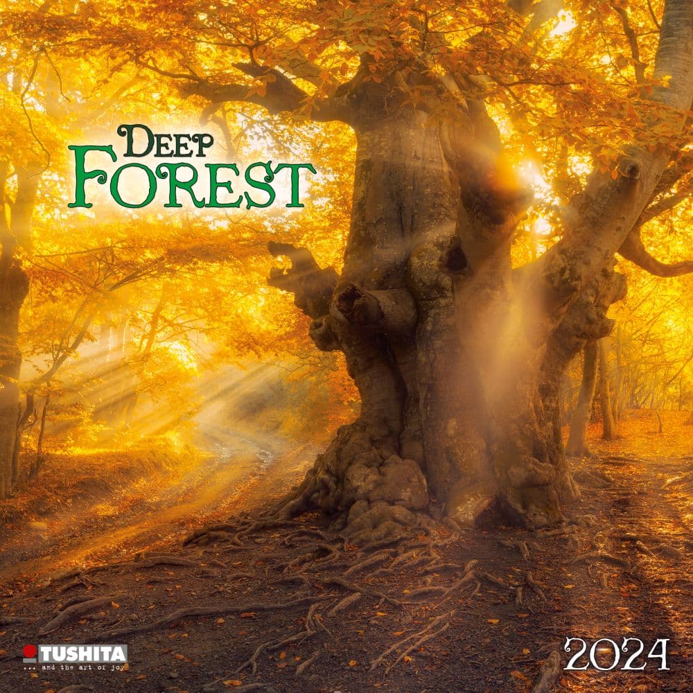 Deep Forest 2024 Wall Calendar Main Product Image width=&quot;1000&quot; height=&quot;1000&quot;