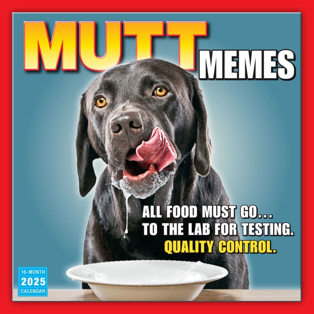 Mutt Memes 2025 Wall Calendar Main Product Image width=&quot;1000&quot; height=&quot;1000&quot;