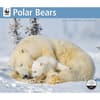 image Polar Bears WWF 2025 Wall Calendar Main Image