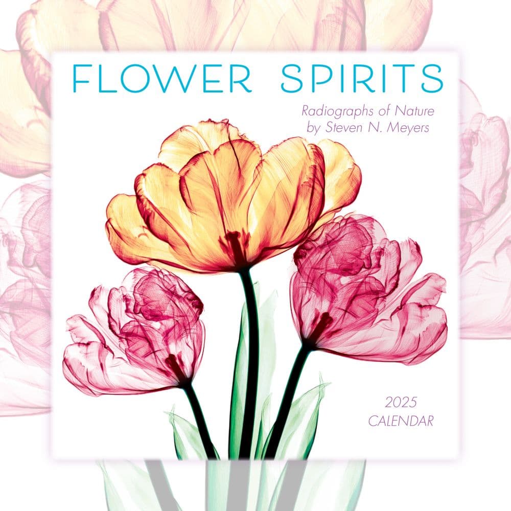 Flower Spirits 2025 Mini Wall Calendar Main Product Image width=&quot;1000&quot; height=&quot;1000&quot;