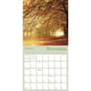 image Enchanted Pathways Photography 2025 Wall Calendar Third Alternate Image width=&quot;1000&quot; height=&quot;1000&quot;