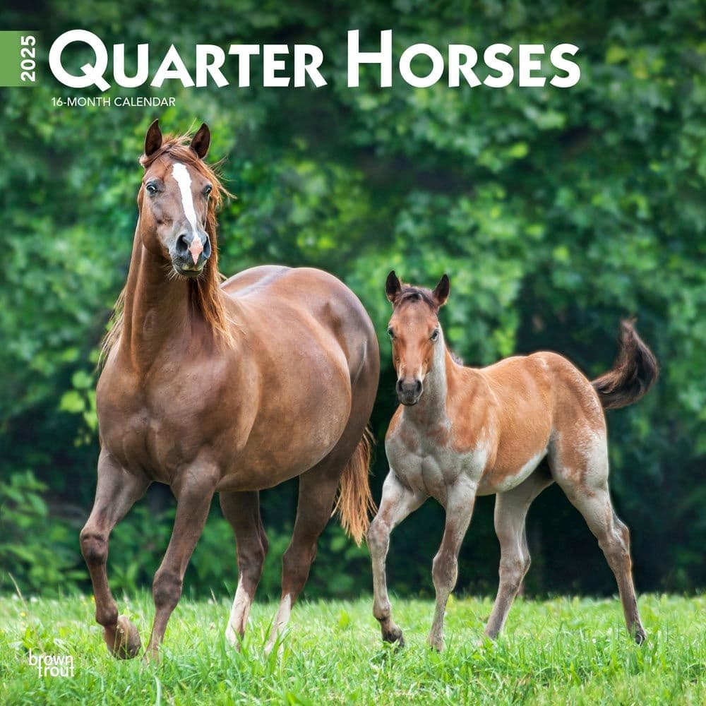 image Quarter Horses 2025 Wall Calendar Main Image