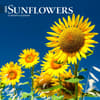 image Sunflowers 2025 Mini Wall Calendar  Main Image