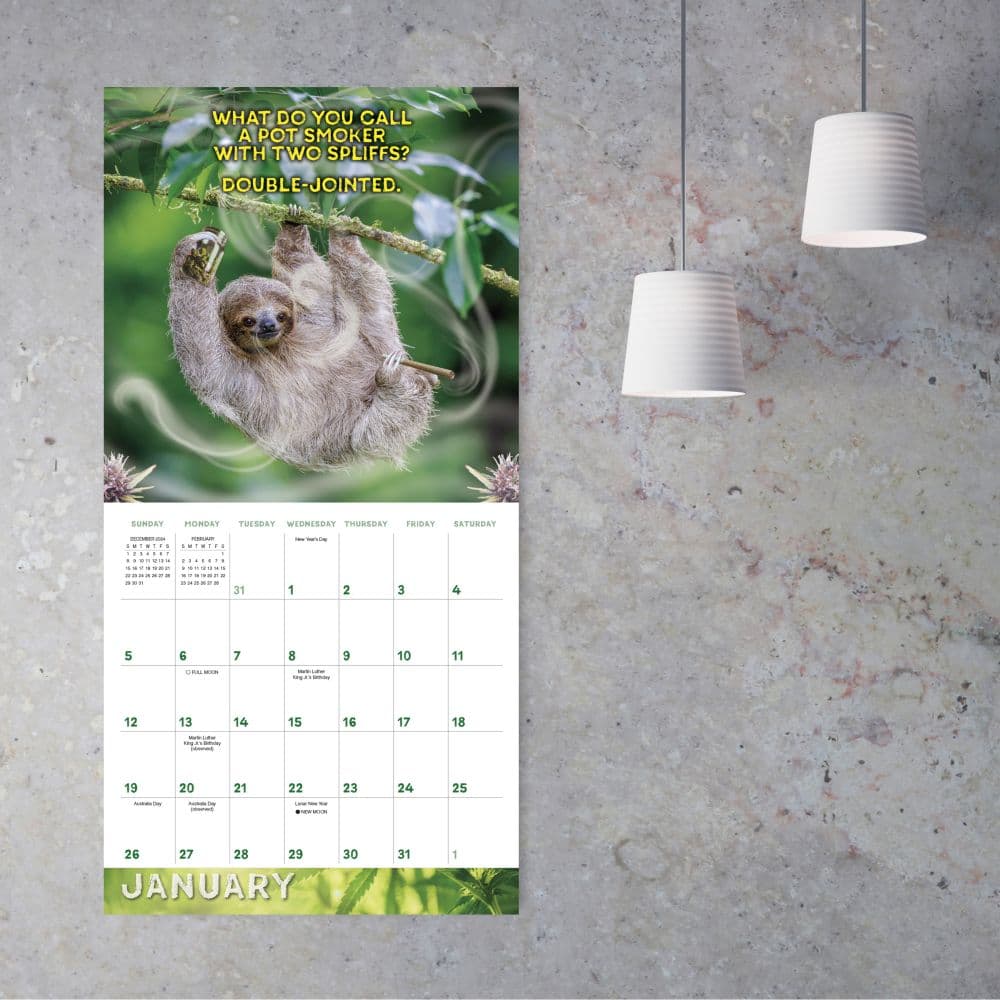 Stoner Sloths 2025 Wall Calendar Fourth Alternate Image width=&quot;1000&quot; height=&quot;1000&quot;