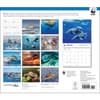 image Dolphins WWF 2025 Wall Calendar