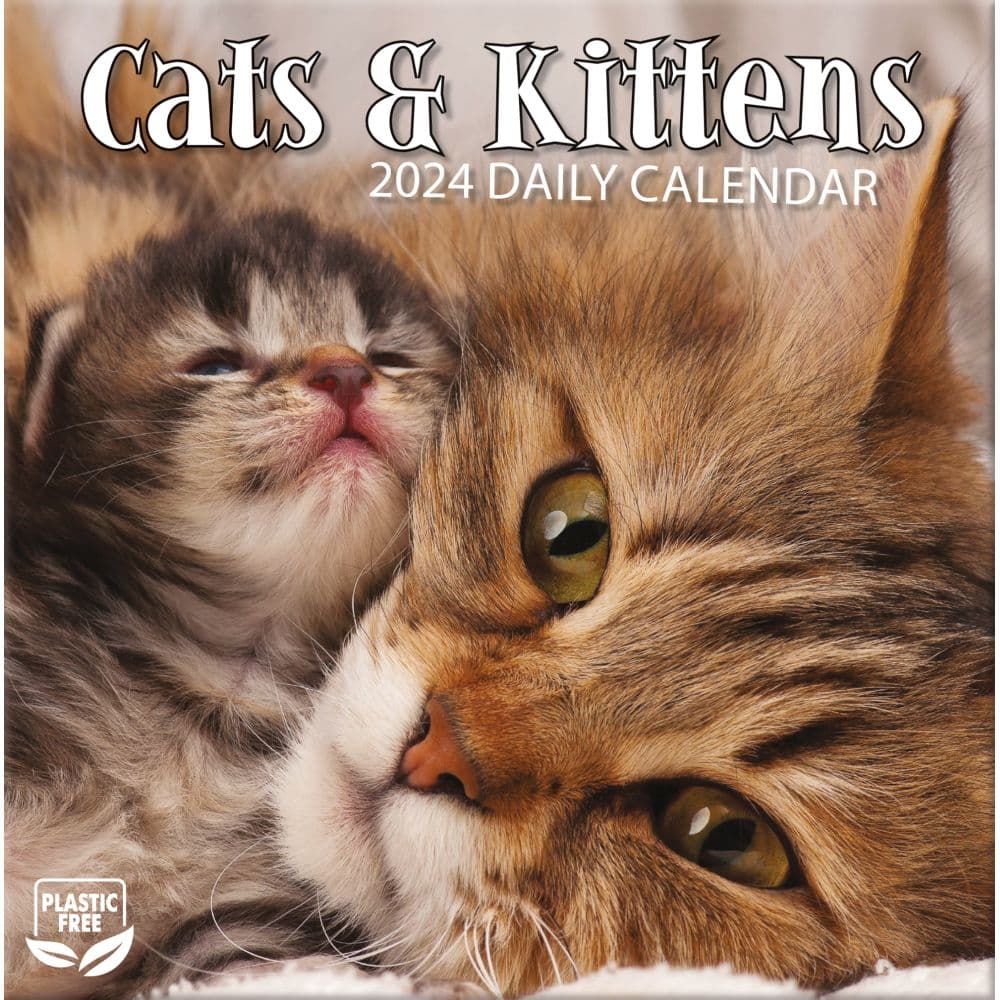 Cats And Kittens 2024 Desk Calendar Main Product Image width=&quot;1000&quot; height=&quot;1000&quot;