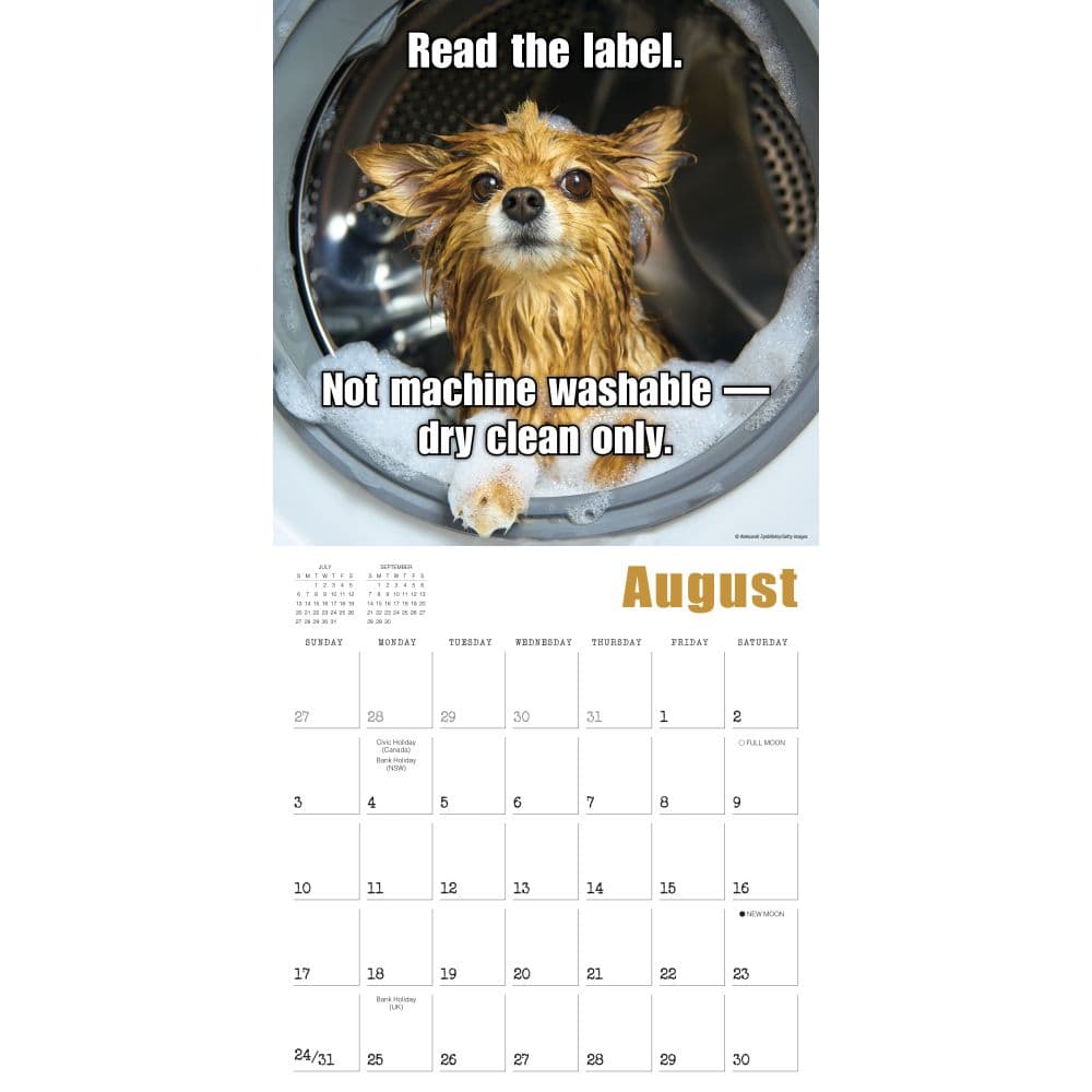 Mutt Memes 2025 Wall Calendar Third Alternate Image width=&quot;1000&quot; height=&quot;1000&quot;