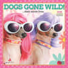 image Avanti Dogs Gone Wild 2025 Mini Wall Calendar Main Image