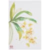 image Exotic Orchids Assorted Boxed Note Cards First Alternate Image width=&quot;1000&quot; height=&quot;1000&quot;