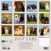 image Just Labs 2025 Wall Calendar First Alternate Image width=&quot;1000&quot; height=&quot;1000&quot;