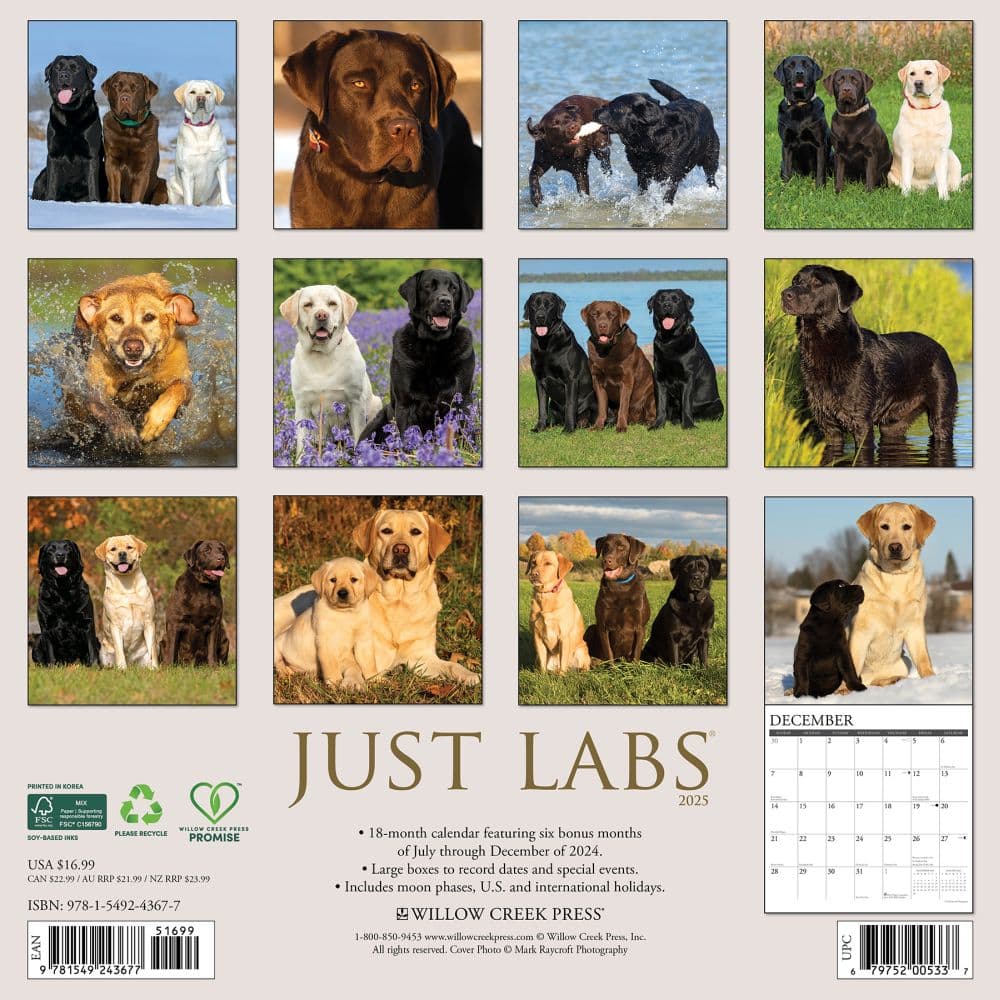 Just Labs 2025 Wall Calendar First Alternate Image width=&quot;1000&quot; height=&quot;1000&quot;