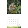 image Stoner Sloths 2025 Wall Calendar Third Alternate Image width=&quot;1000&quot; height=&quot;1000&quot;