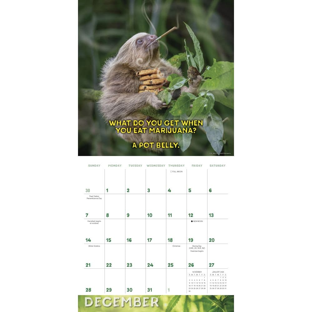 Stoner Sloths 2025 Wall Calendar Third Alternate Image width=&quot;1000&quot; height=&quot;1000&quot;