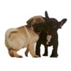 image Die Cut Two Dogs (Pug &amp; Frenchie) Anniversary Card First Alternate Image width=&quot;1000&quot; height=&quot;1000&quot;