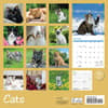 image Cats 2024 Wall Calendar Alternate Image 1
