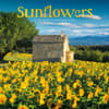 image Sunflowers 2025 Wall Calendar Main Image