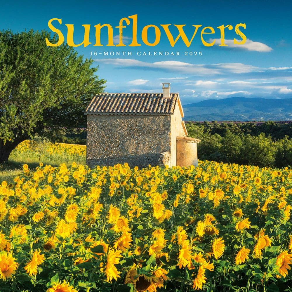 image Sunflowers 2025 Wall Calendar Main Image