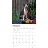 image Pit Bull Terriers 2024 Wall Calendar Second Alternate Image width=&quot;1000&quot; height=&quot;1000&quot;